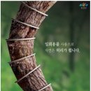 포토샵/일러스트 디자인실무 이미지