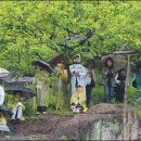 사람사는세상 이미지