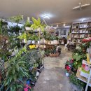 하재은플라워 이미지