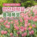 서안산정비 | 안산자락길 홍제폭포 후기｜튤립·불빛축제까지 도심에서 즐기는 자연 산책