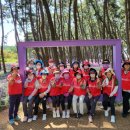 장항보건지소 이미지