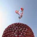 무풍면 생활체육공원 이미지