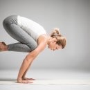 맥시멈요가 이미지