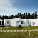 선 스테이 이미지