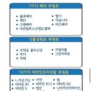 대식가들의 매일 먹는 다이어트 보조제 원바디톡스!! 해독주스 편하게 먹기!~~