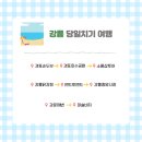 강릉 여행 당일치기 코스 일정 소품샵 투어 & 현지인 맛집 리스트