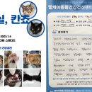 몽실센터 이미지