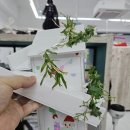 송도유아미술 브레인드로 미술학원 후기