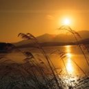 시월이네 이미지