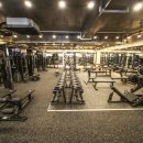 제라피트니스 이미지