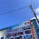 광치기해산물촌 | 성산일출봉맛집 광치기해산물촌 신선한 해산물 모듬 포장 후기