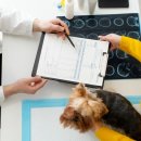 더블유동물병원 이미지