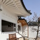 배동스테이 이미지