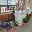 성주군청 이미지