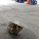 산골농원 이미지