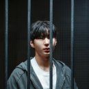 레오랜드 이미지