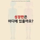 벨포레필라테스