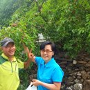 황토마루 이미지