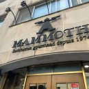 맘모스식당 이미지