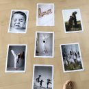 그림책으로 배우는 알파벳ABC 이미지