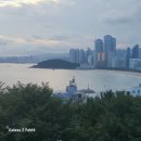 진하반점 이미지