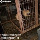 무리개농장 이미지