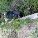 장곡2리 이미지