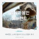 에버랜드 아이와 로스트밸리 스마트줄서기 후기