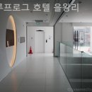 블루프로그호텔 이미지