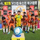 원주 FC축구클럽 이미지