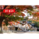 뱀사골특산품 이미지
