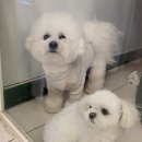 세진세탁소 이미지