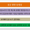 선진보라매 이미지