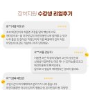 수 애견미용 이미지