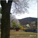 남간정사 이미지