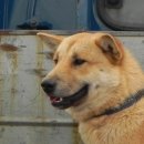 칠전농장 이미지