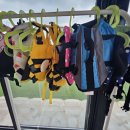 여수 스테이멍 애견펜션 이미지