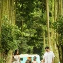 제주아를 이미지