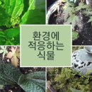 이루리정원 이미지