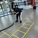 조치원 세종복싱클럽 이미지