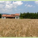 왕곡농장 이미지