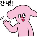 샤인수헤어강남