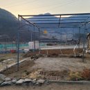 원복농장 이미지