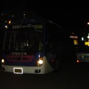 대양여행사 이미지