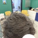 Luz헤어