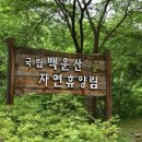 원주 국립백운산자연휴양림 아이와 산책하기 좋은 숲속 힐링 명소 후기