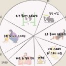 포포 데이케어 이미지