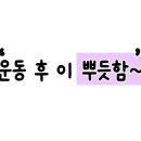 케이레슬링인천