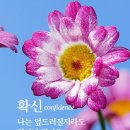 방추 이미지
