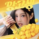 박 - 진도군 | 박